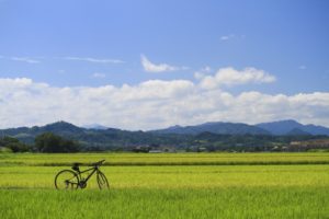 玉置浩二 田園 歌詞意味解釈 ドラマ コーチ 主題歌だった トレンドもぷんち